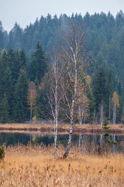 Berg alpiner Herbst See Schwarzsee Kitzbühel Tirol Österreich Alpen