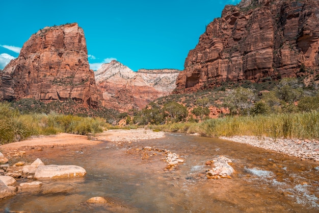 Berg, der auf dem Angels Landing Trail Trekking im Zion National Park steigt. Vereinigte Staaten