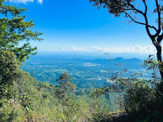 Berg Doi Chik Chong