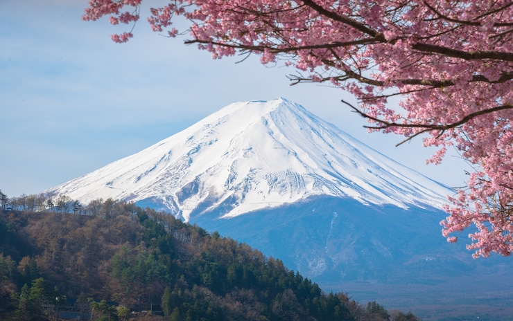 Foto berg fuji im frühjahr, kirschblüte sakura
