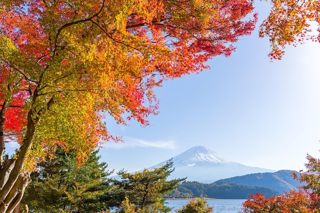 Berg Fuji im Herbst