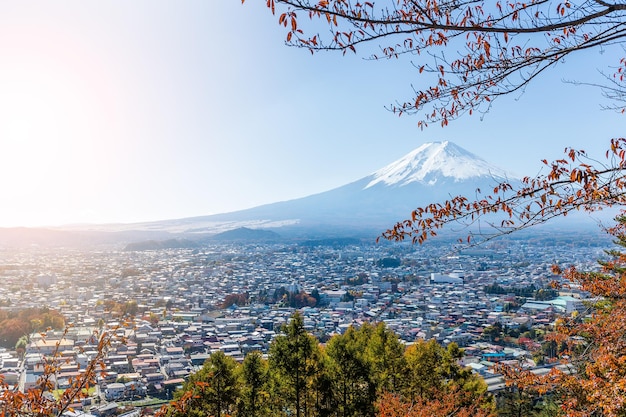 Berg Fuji im Herbst