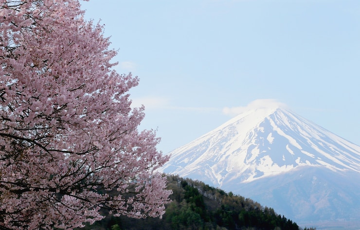 Foto berg fuji in kawaguchiko seeseite.