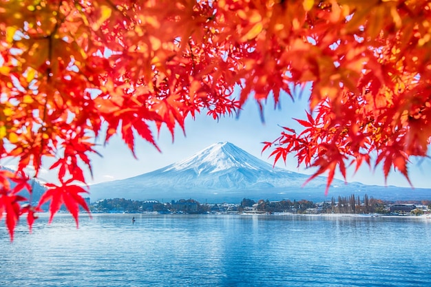 Berg Fuji mit Ahornbaum