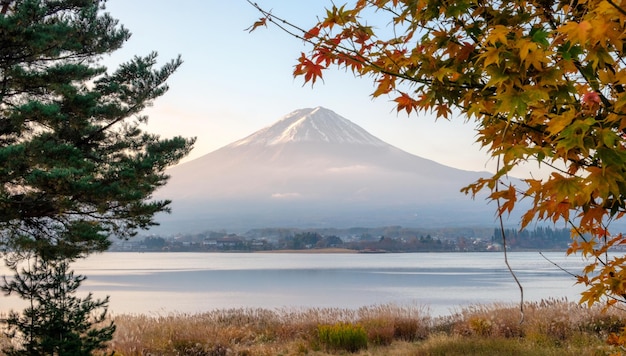 Foto berg fuji mit baum und wiese im kawaguchiko-see