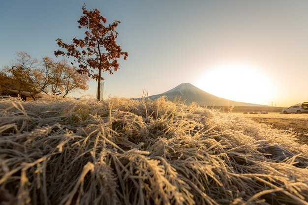 Berg Fuji Sonnenaufgang
