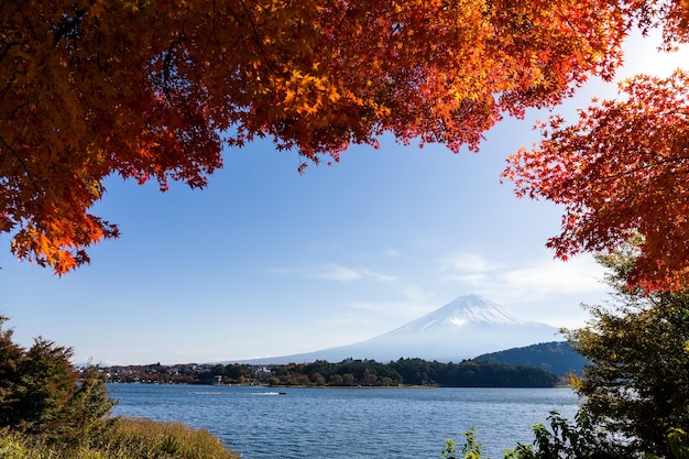 Berg Fuji und Ahorn im Herbst