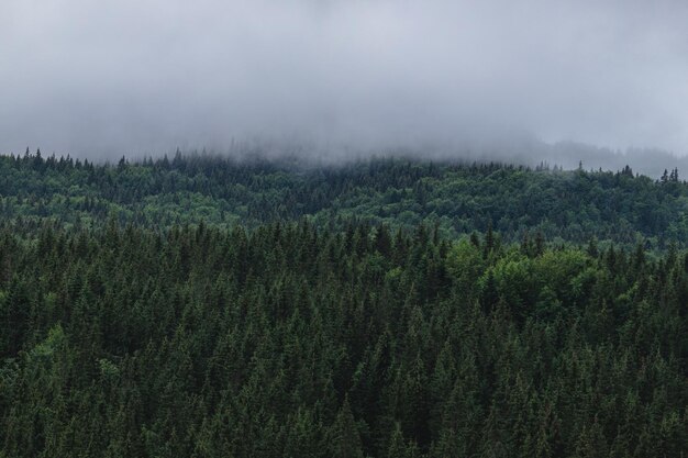 Berg in der Wolke