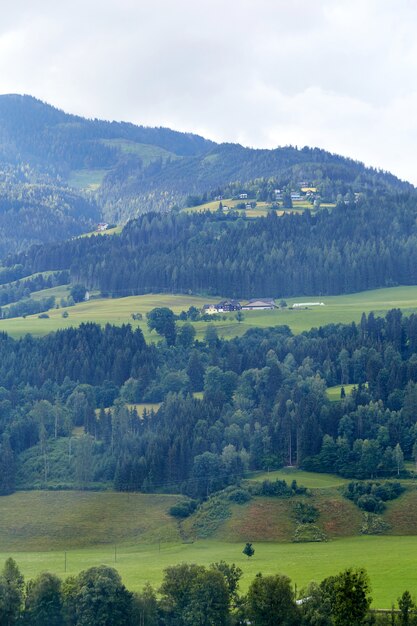 Berg mit grünen Wald- und Rasenflächen in Österreich