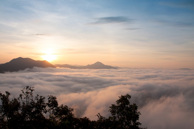 Berg mit weißem Nebel im Morgensonnenaufgang, Naturlandschaft