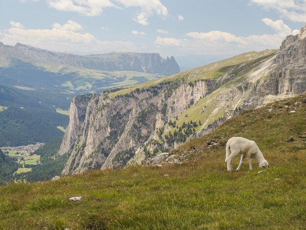 Berg Sassongher oberhalb von Corvara in den Dolomiten