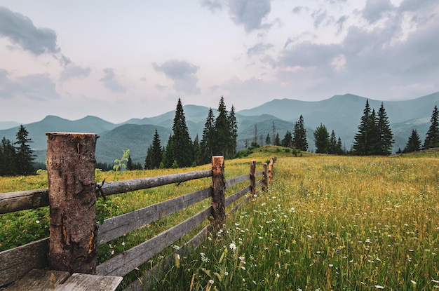 Berg Sommerlandschaft