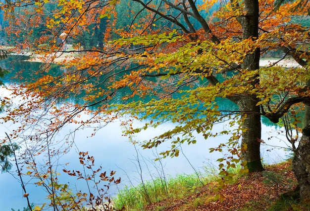 Berg Synevir Seeblick durch Herbstbaumzweige