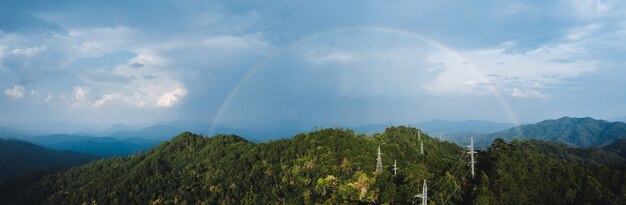 Berg und Baum im Sommer Naturreisen