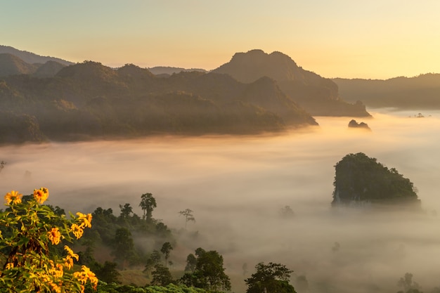 Berg- und Blumenansichten Nationalparks Phu Langka, Thailand