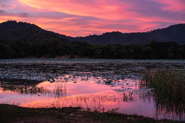 Berg und farbenfroher Himmel während der Sonnenuntergangszeit Lotusteich und Campingaktivitäten im Berghintergrund