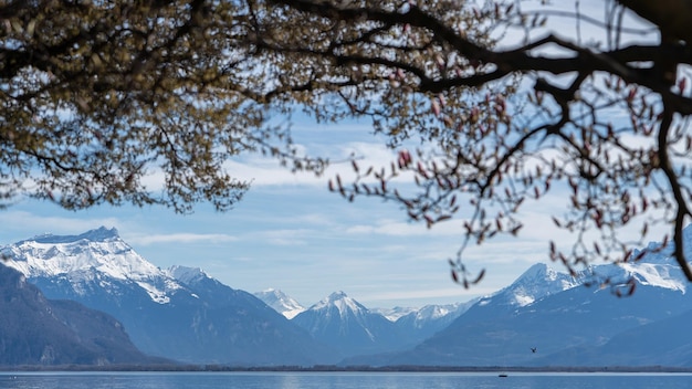 Berg- und Wasserhintergrundansicht Genfersee Vevey Schweiz