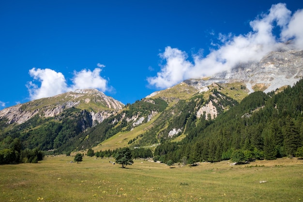 Berg- und Weidelandschaft in französischen Alpen