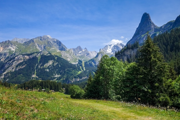 Berg- und Weidelandschaft in Pralognan la Vanoise. Französische Alpen