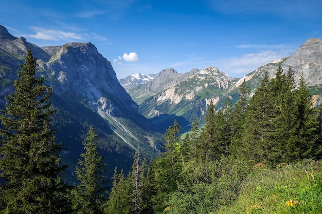 Berg- und Weidelandschaft in Pralognan la Vanoise. Französische Alpen