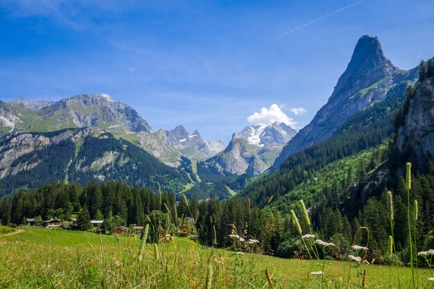 Berg- und Weidelandschaft in Pralognan la Vanoise.