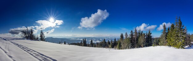 Berg Winterlandschaft Fichtenwald bedeckt von Schnee in der Winterlandschaft