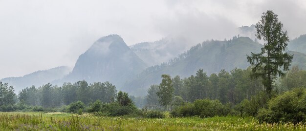 Bergblick an einem regnerischen Sommertag, Panorama