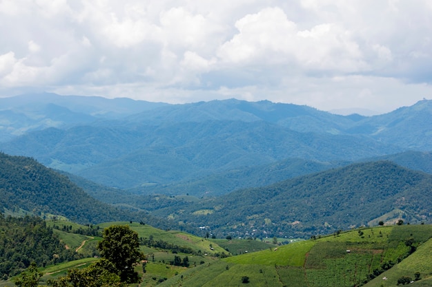 Bergblick auf dem Gipfel des Berges bei Ban Pa Pong Piengin Thailandgin