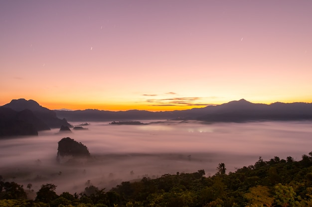 Bergblicke und schöner nebel nationalparks phu langka, thailand