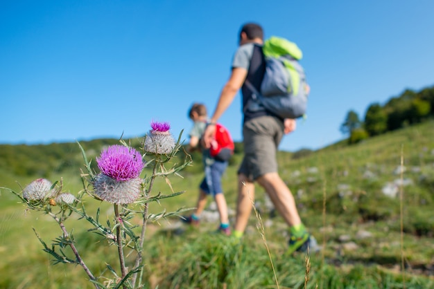 Bergblumen mit Familie auf einer Wanderung