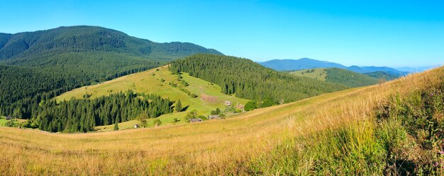 Bergdorf. Sommerlandschaft mit Tannenwald am Hang (Karpaten, Ukraine). Zwei Aufnahmen Stitch-Panorama.