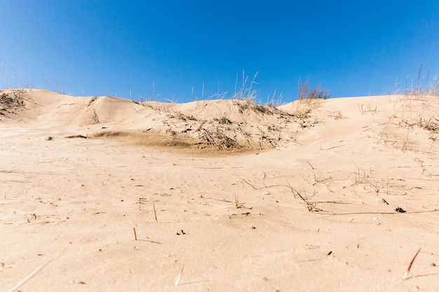 Berge aus gelbem Sand an der Küste