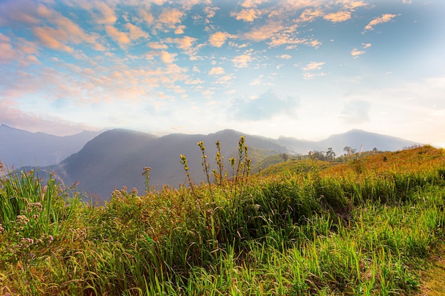 Berge bei Sonnenuntergang Schöne Naturlandschaft im Sommer