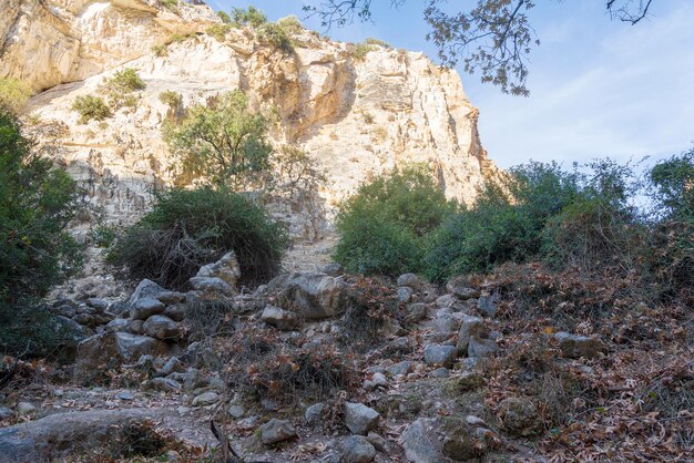 Berge der Avakas-Schlucht im Herbst Wandern in der Schlucht