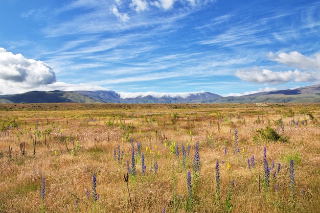 Berge der Südinsel, Neuseeland