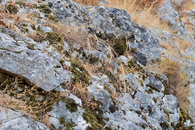 Berge Felsen