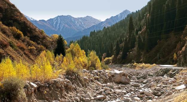 Berge Herbstpanorama