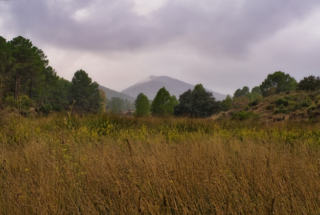 Berge im Herbst.