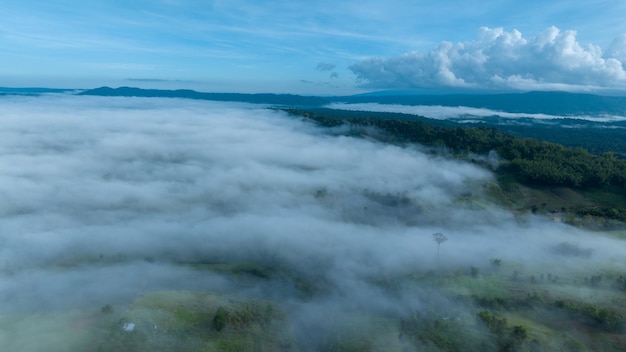 Berge im Nebel im schönen Herbst in Phetchabun Thailand Nebel Bergtal niedrige Wolken Wald bunter Himmel mit Kiefern in nebligen Fichtenwald mit hellem Sonnenaufgang