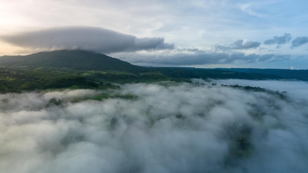 Berge im Nebel im schönen Herbst in Phetchabun Thailand Nebel Bergtal niedrige Wolken Wald bunter Himmel mit Kiefern in nebligen Fichtenwald mit hellem Sonnenaufgang