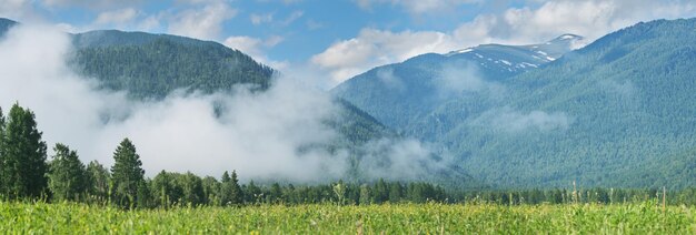 Berge im Nebel Panorama ländliche Aussicht Morgennebel Sommer