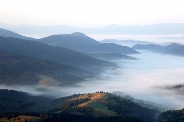 Berge im Nebel vor Sonnenaufgang