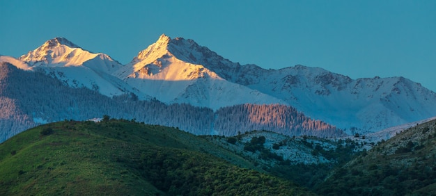 Berge im Schnee und grüne Bäume