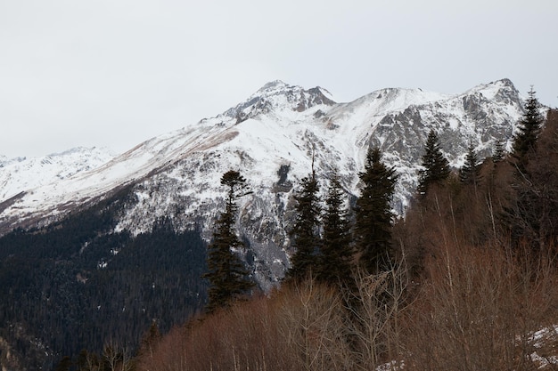 Berge im Schnee Winter Berglandschaft düsterer Himmel und Nebel Nadelwald im Vordergrund