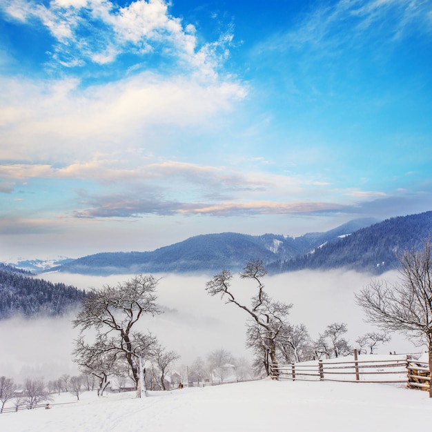 Berge im Winter