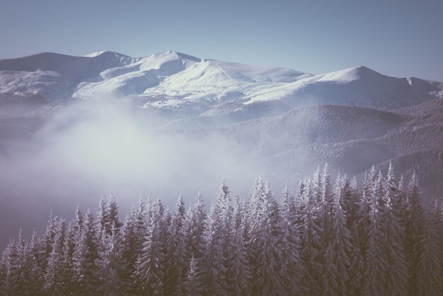 Berge im Winter