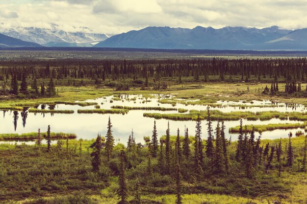 Berge in Alaska