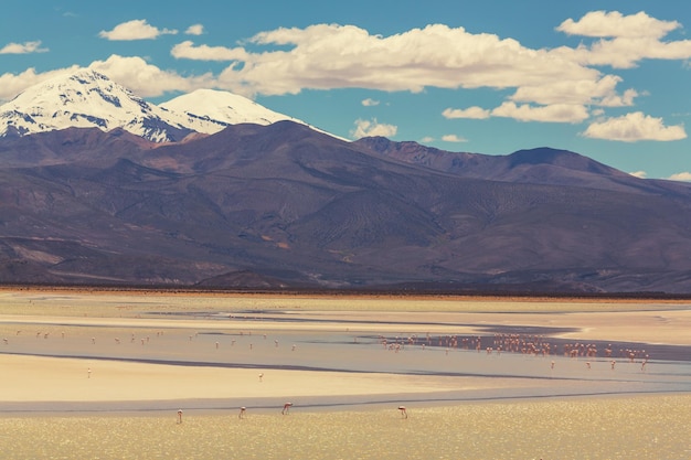 Berge in Bolivien