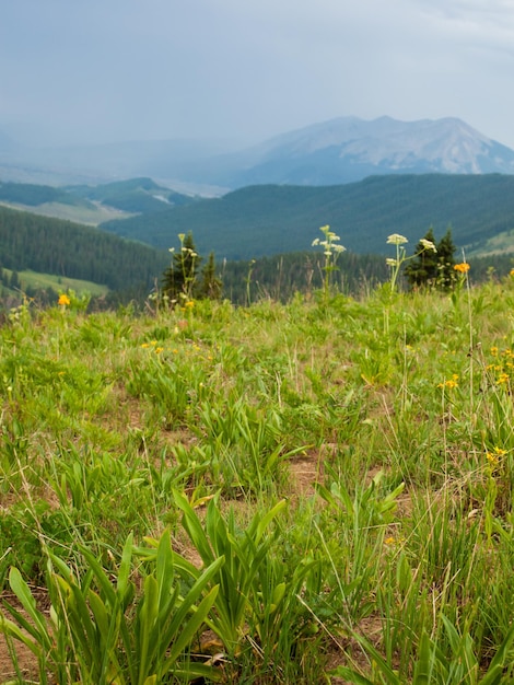 Berge in Crested Butte, Colorado.