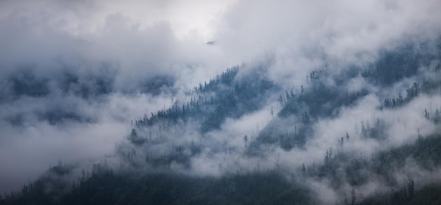 Berge in Wolken und Nebel